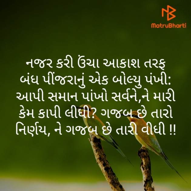 Gujarati Motivational by karansinh chauhan : 111250559