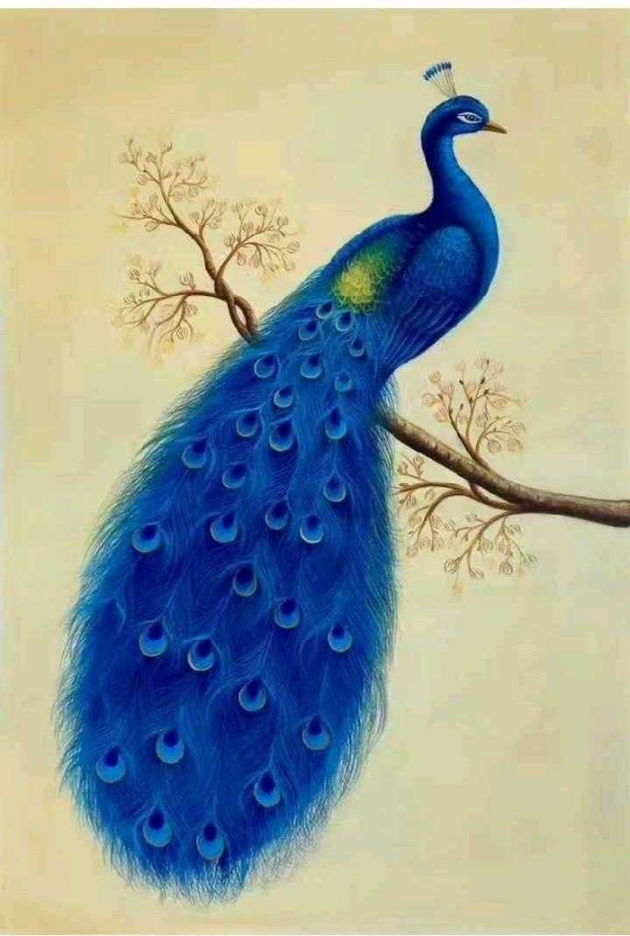 Gujarati Thought by Pravin Gor : 111250892