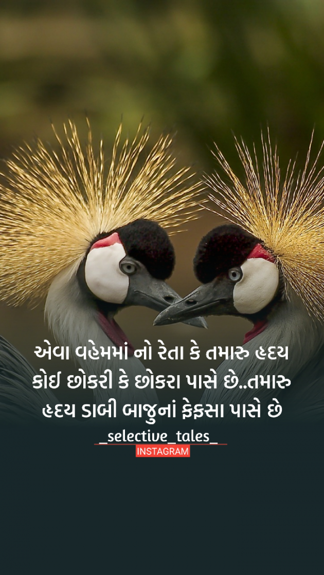 Gujarati Thought by Selective Tales : 111251566