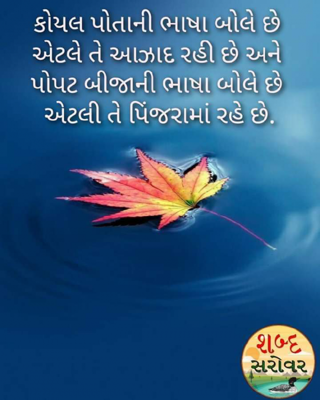 Gujarati Whatsapp-Status by Bharat Ahir : 111251690