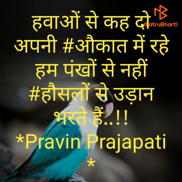 Hindi Shayri by Pravin Prajapati : 111251722