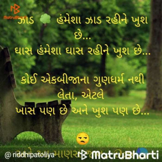 Gujarati Whatsapp-Status by Himanshu Sarvaiya : 111252002