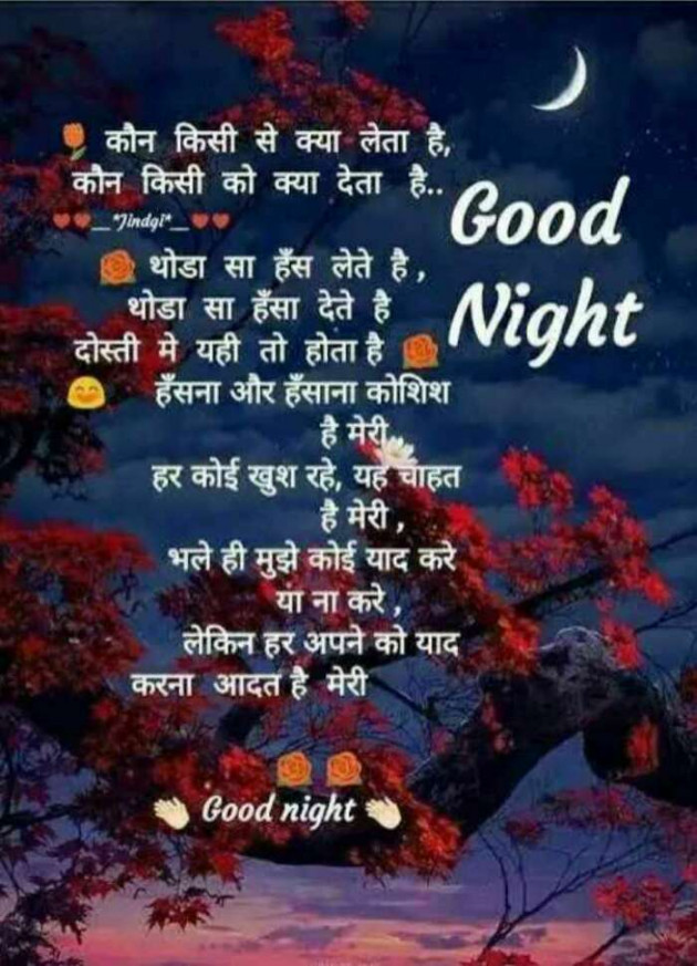 English Good Night by Jassi Albert : 111252083