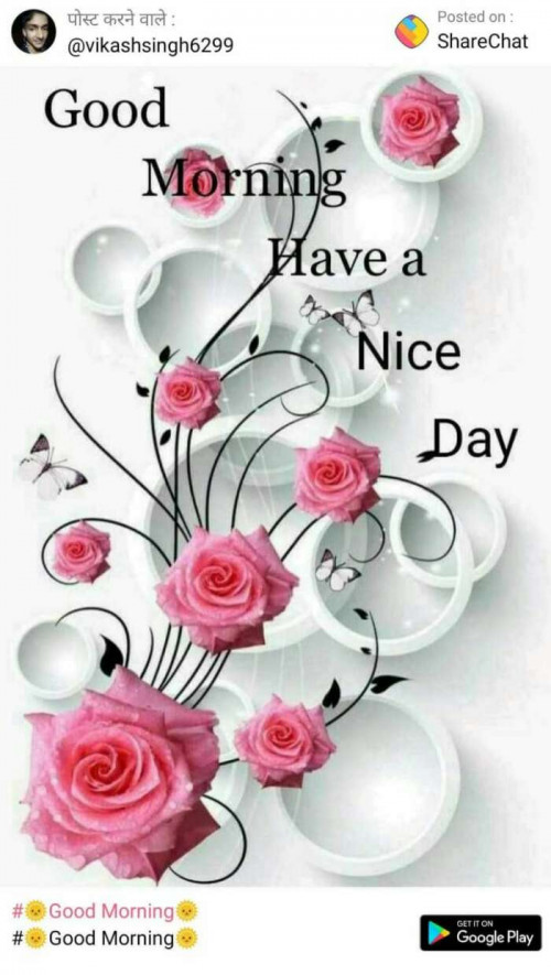 Post by Khushbu Patel on 10-Sep-2019 07:23am