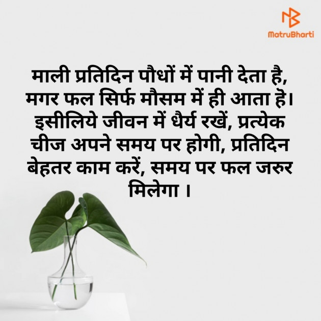 Hindi Quotes by Sarvesh Saxena : 111252259