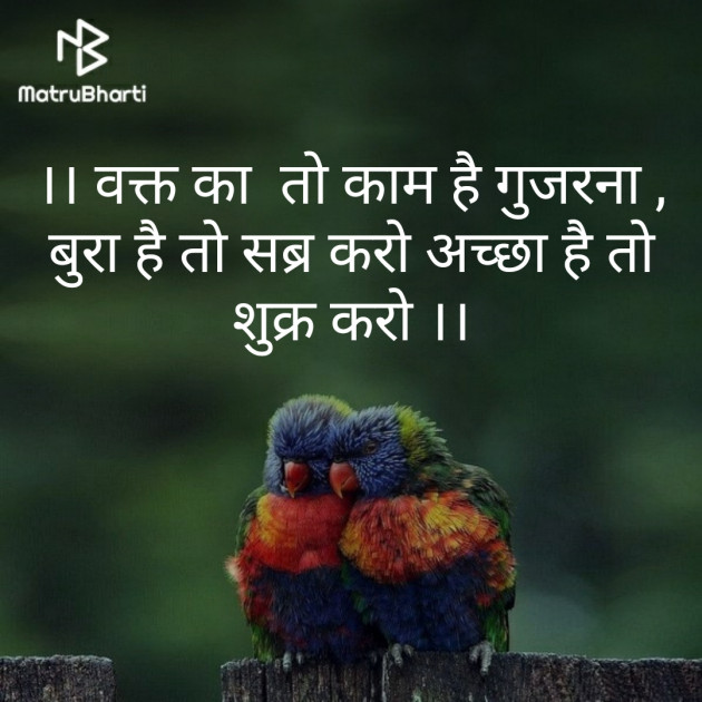 Hindi Thought by Engineer : 111252381