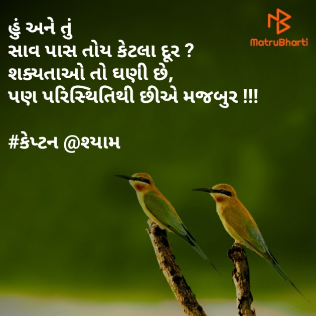 Gujarati Blog by Nirav Patel SHYAM : 111252605