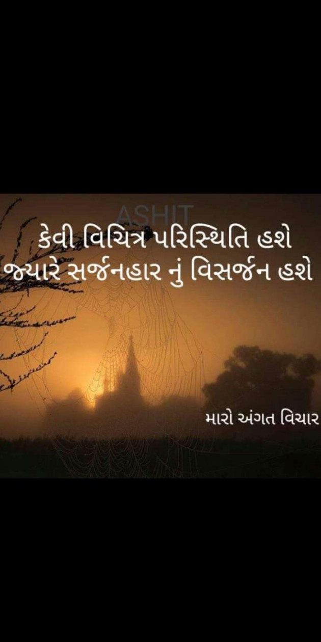 Gujarati Thought by Heema Joshi : 111252880