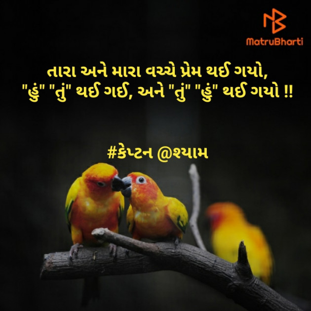 Gujarati Blog by Nirav Patel SHYAM : 111253046