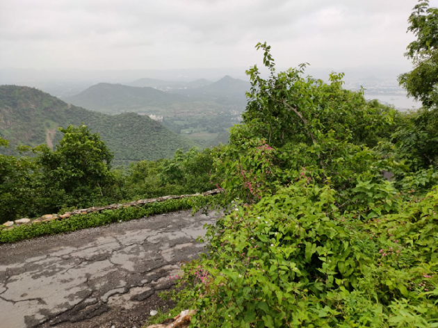 Gujarati Blog by કલમ ના સથવારે : 111253238