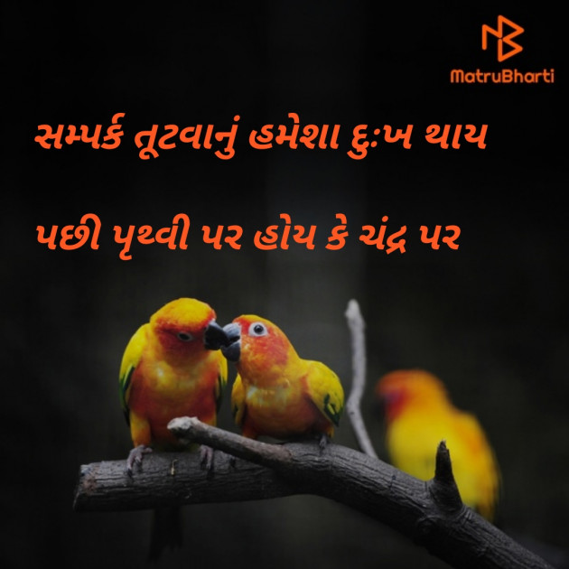 Gujarati Whatsapp-Status by Jadav Aniruddhsinh : 111253332