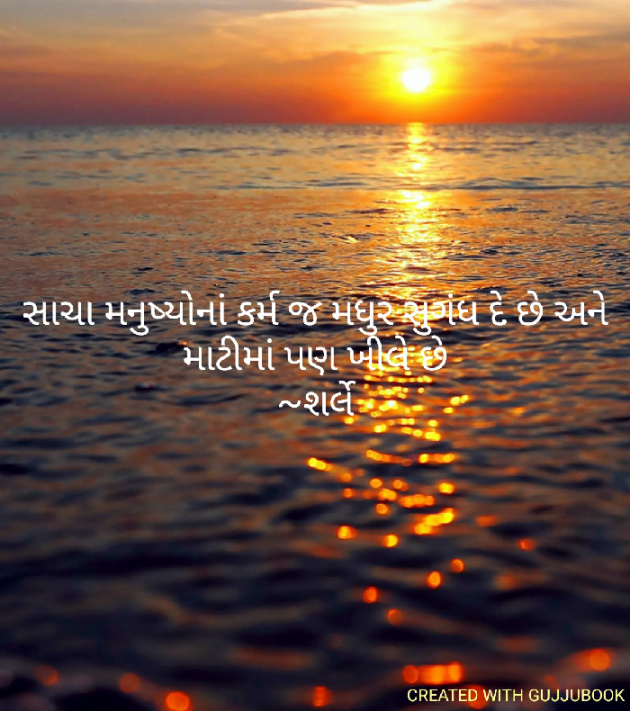 Gujarati Quotes by Rajesh Sheth : 111253421