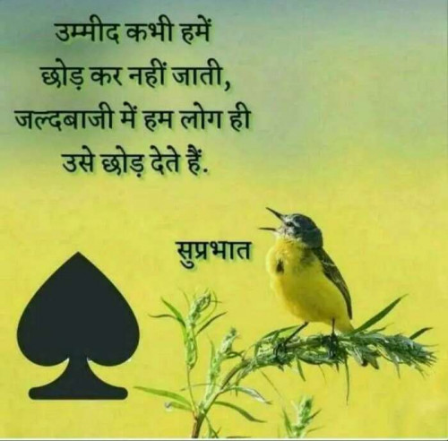 Post by Khushbu Patel on 12-Sep-2019 07:13am