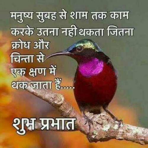 Post by Khushbu Patel on 12-Sep-2019 07:22am