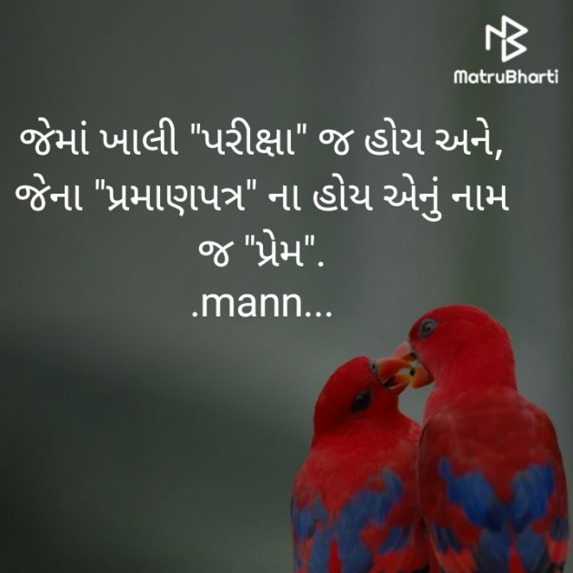 Gujarati Shayri by manish solanki : 111253961