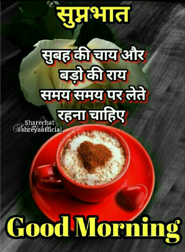 English Good Morning by KgBites : 111254161
