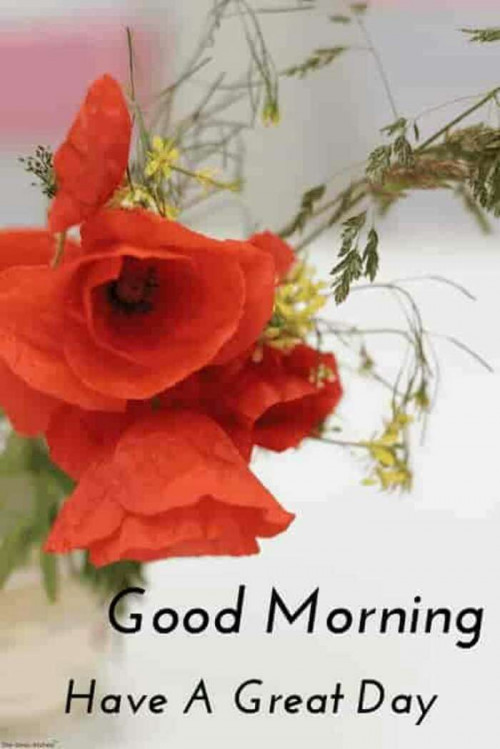 Post by Khushbu Patel on 13-Sep-2019 07:21am