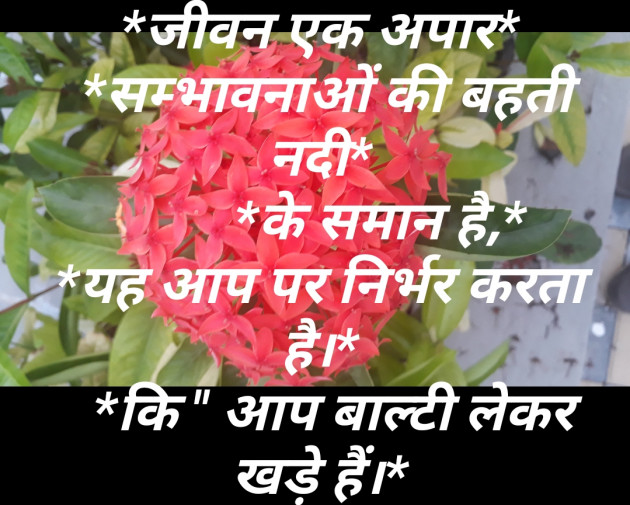 Hindi Shayri by Patel Amit : 111254210