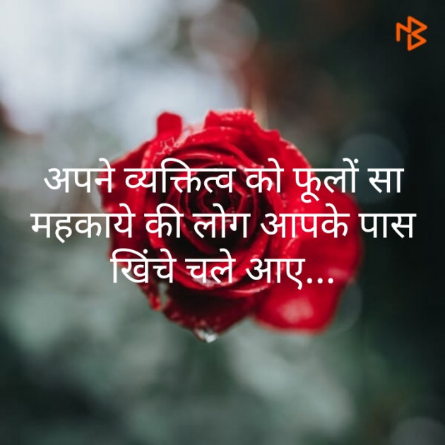 English Quotes by Jignesh Shah : 111254315