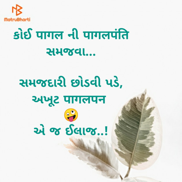 Gujarati Thought by Riddhi Patoliya : 111254725