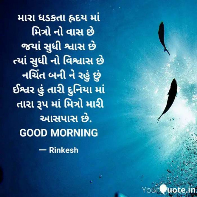 English Good Morning by Rinkesh Shah : 111254911