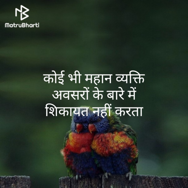 Hindi Quotes by Kamalesh Soneji : 111255022