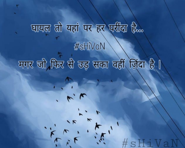 English Quotes by Poorav : 111256059