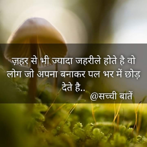 Post by kmv on 17-Sep-2019 12:59am