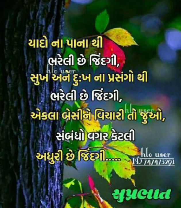Gujarati Quotes by gohel sameer : 111256590