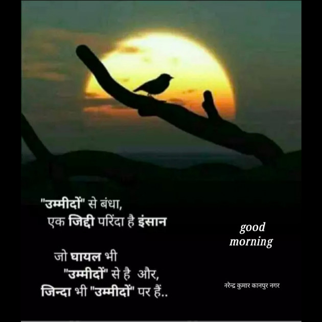 English Good Morning by Narendra Kumar : 111257164