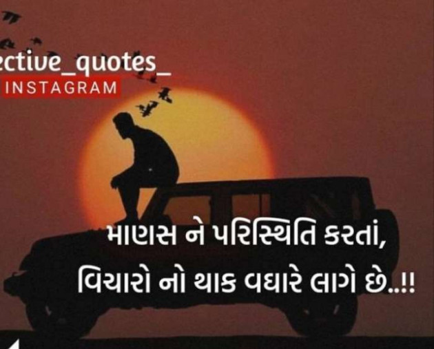 Gujarati Thought by Jasmin Mistry Jasmin Mistry : 111257530