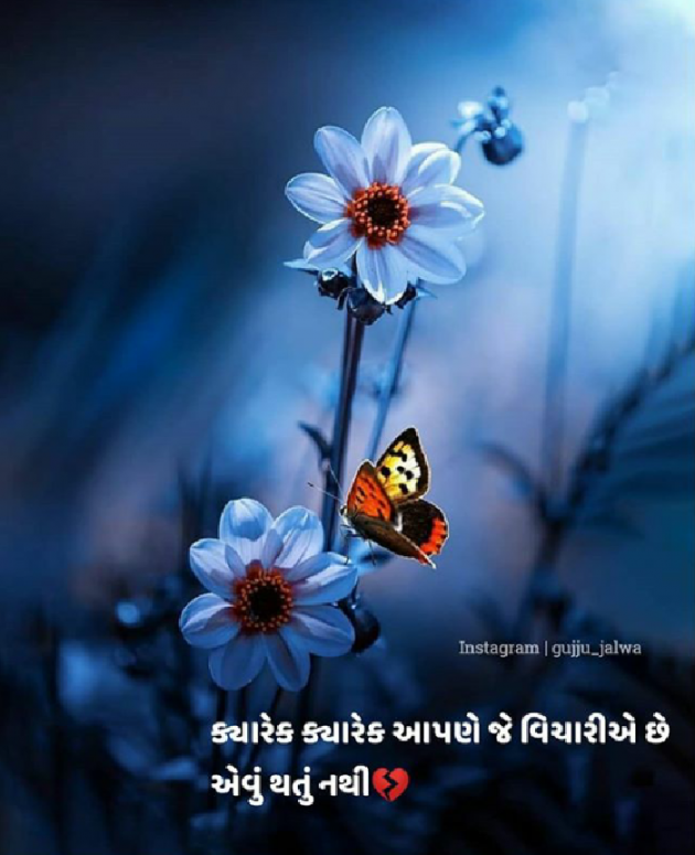 Gujarati Microfiction by Sondagar Devanshi : 111257572