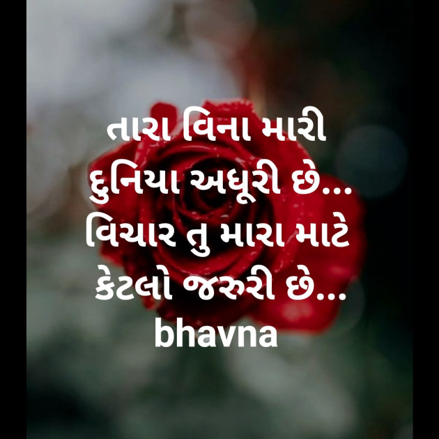 Gujarati Romance by bhavna : 111257578