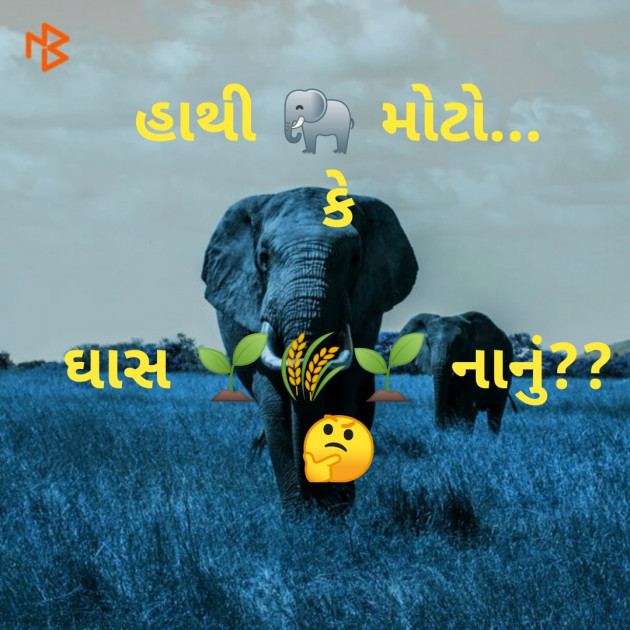 Gujarati Questions by Riddhi Patoliya : 111258070