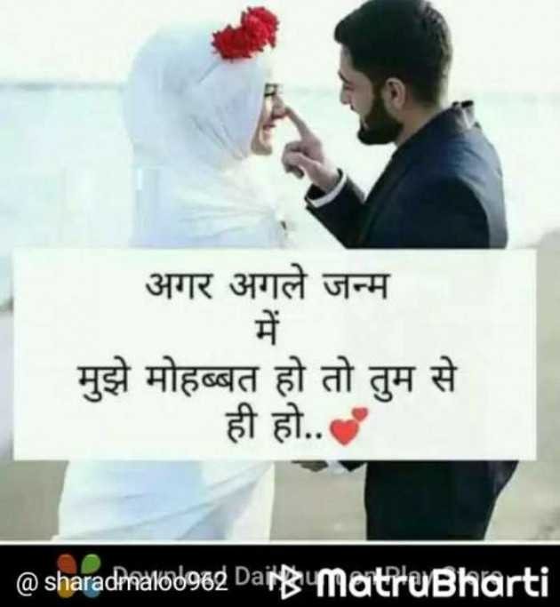 Hindi Blog by Sharad Maloo : 111258233