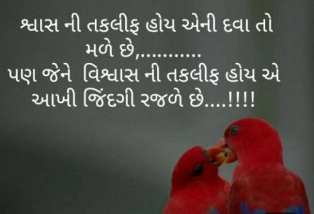 Gujarati Quotes by Jasmin Mistry Jasmin Mistry : 111258281