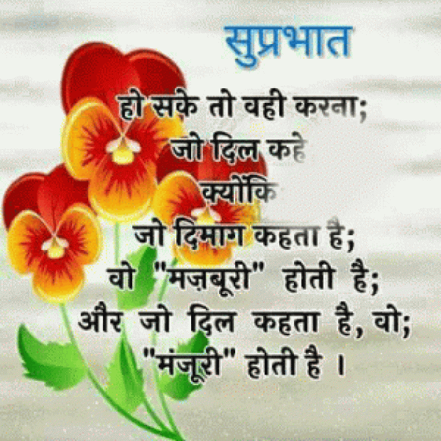 Hindi Good Morning by Vaghela Niya : 111258665