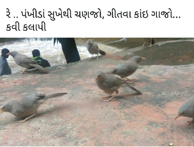 Gujarati Blog by K V Zankat : 111258928