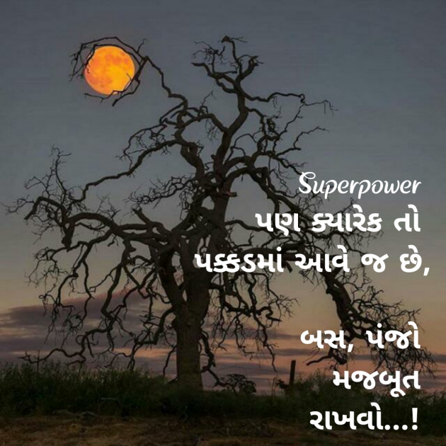 Gujarati Thought by Riddhi Patoliya : 111260250