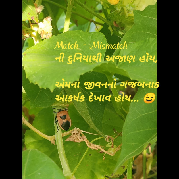 Gujarati Thought by Riddhi Patoliya : 111260274
