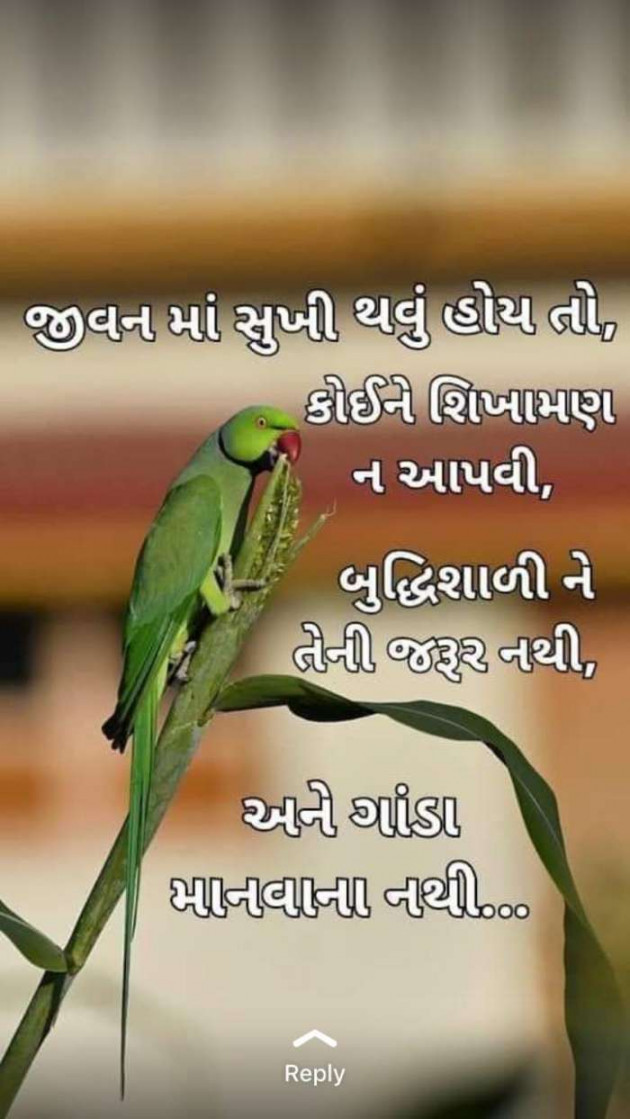 Gujarati Whatsapp-Status by sikandar : 111260444