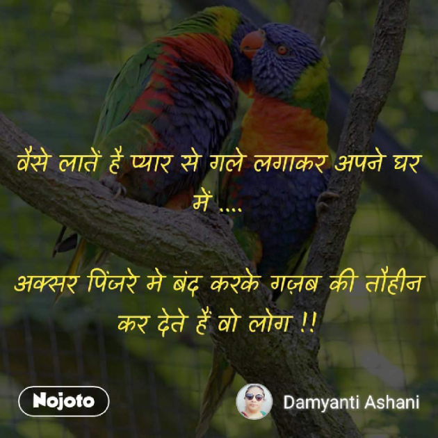 Gujarati Good Evening by Damyanti Ashani : 111260708