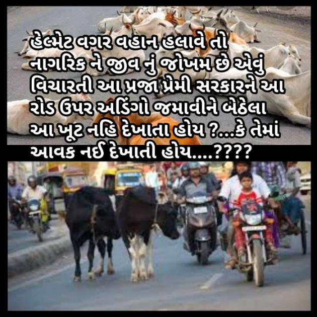 Gujarati Thought by Radhe Ahir : 111260750