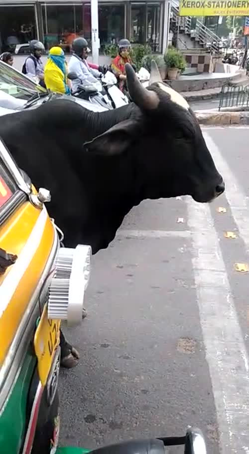 Funny Videos in Marathi | Marathi Funny Videos Download Free Funny Videos in Marathi | Marathi Funny Videos Download Free