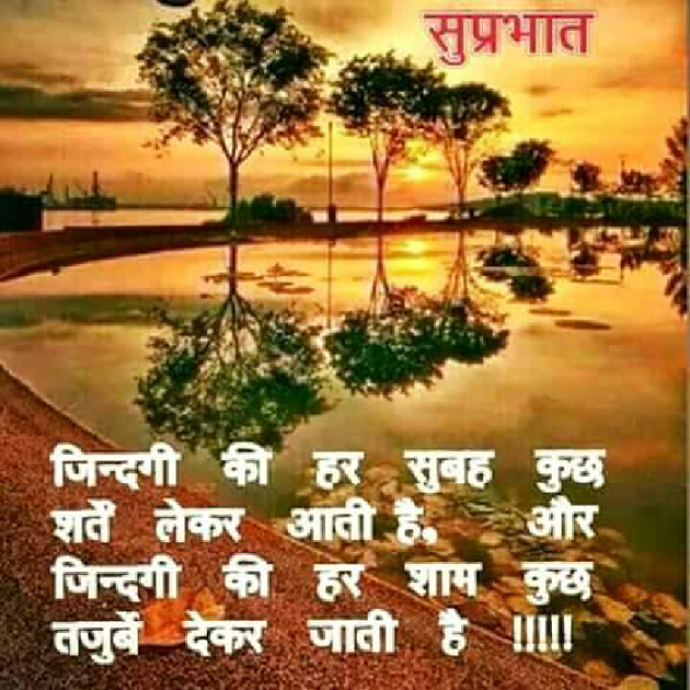 English Good Morning by KgBites : 111260896
