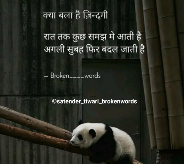 Hindi Good Morning by Satender_tiwari_brokenwordS : 111261037