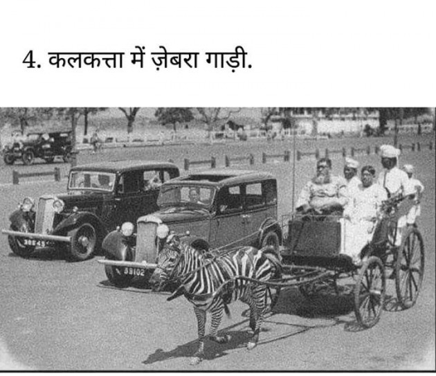 Hindi Motivational by Chaula Kuruwa : 111261471