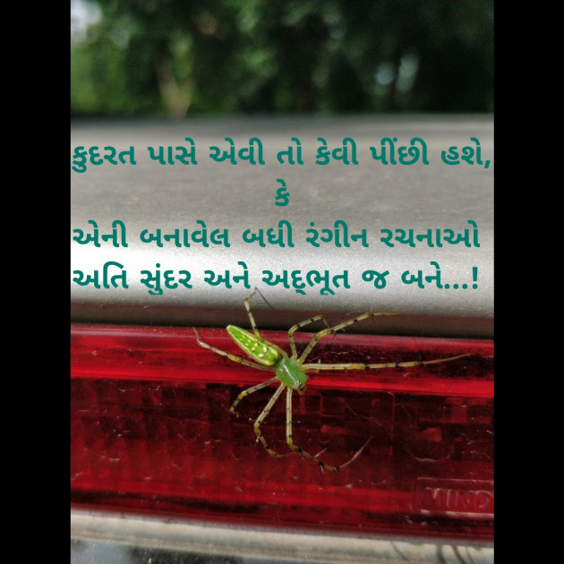 Gujarati Thought by Riddhi Patoliya : 111262422