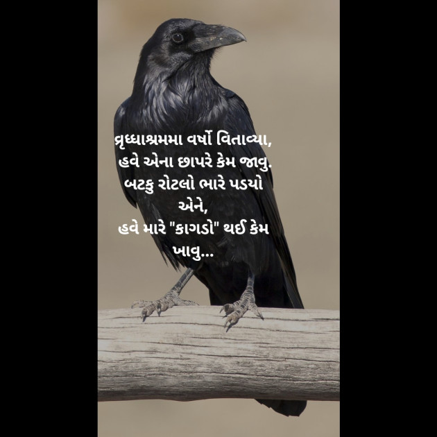 Gujarati Religious by Aniruddhsinh Vaghela Vasan Mahadev : 111262525