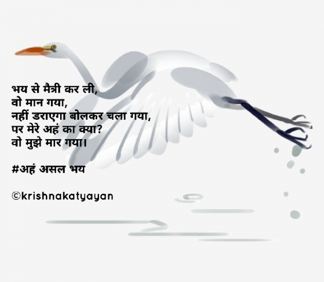 English Poem by Krishna Chaturvedi : 111262872